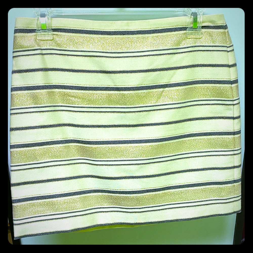 J. Crew Skirt